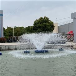 RPQ2200河道治理噴泉曝氣機(jī) 喇叭花水柱