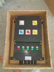 FZC-A2D2K1L防水防尘防腐操作柱